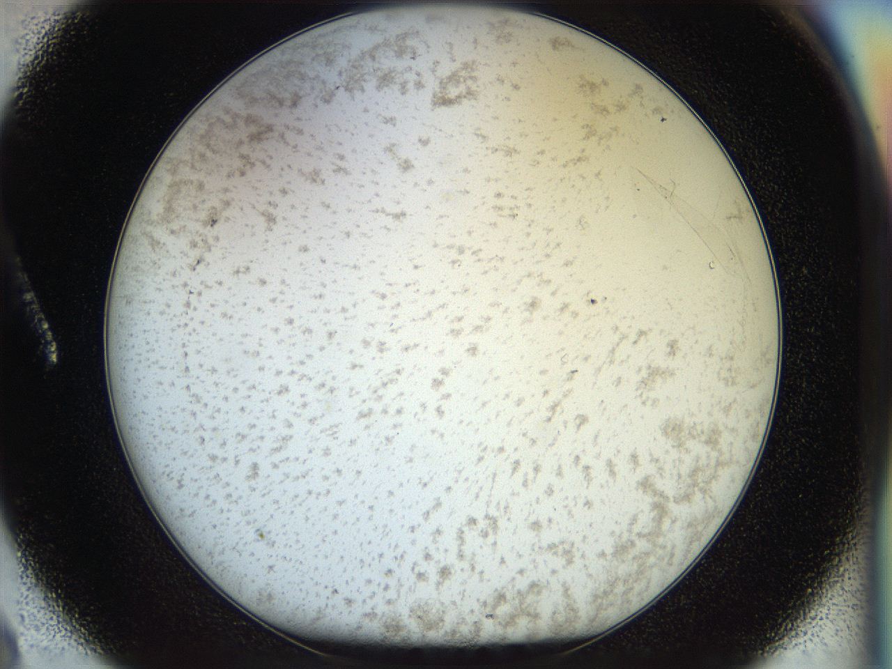056q_A8_ImagerDefaults_2.jpg