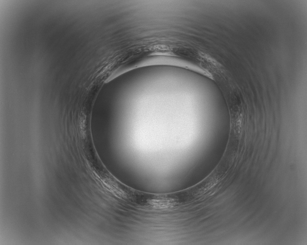 X0000055060556200508161648.png