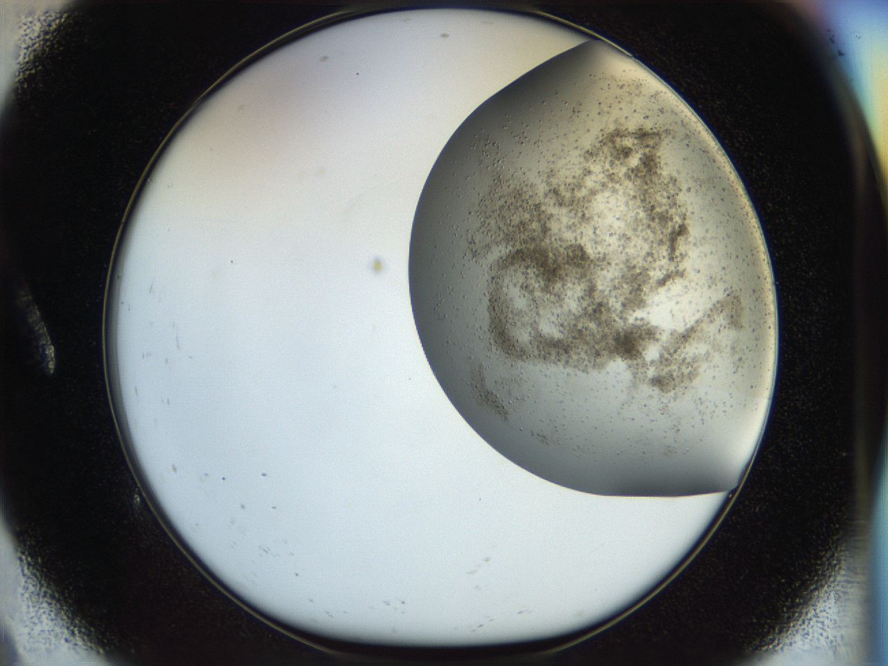 056q_A9_ImagerDefaults_6.jpg