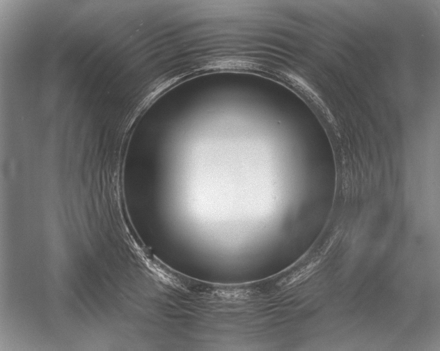 X0000055061041200508161640.png