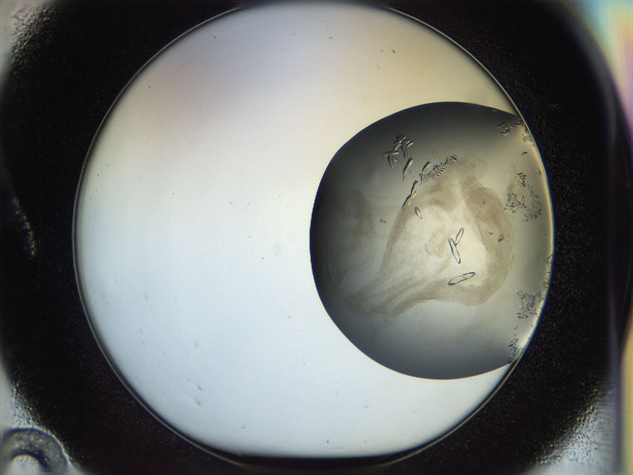 056q_A10_ImagerDefaults_9.jpg