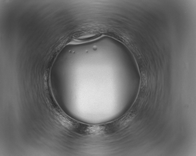 X0000055210269200508301329.png
