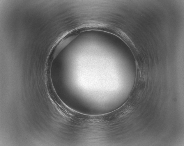 X0000055060436200508161650.png