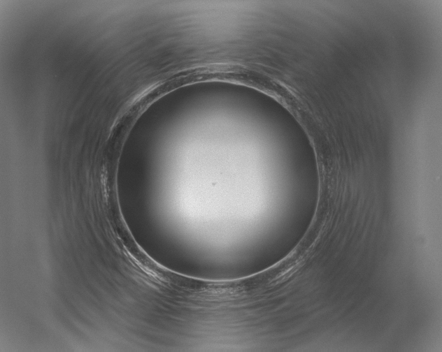 X0000055211402200508301309.png