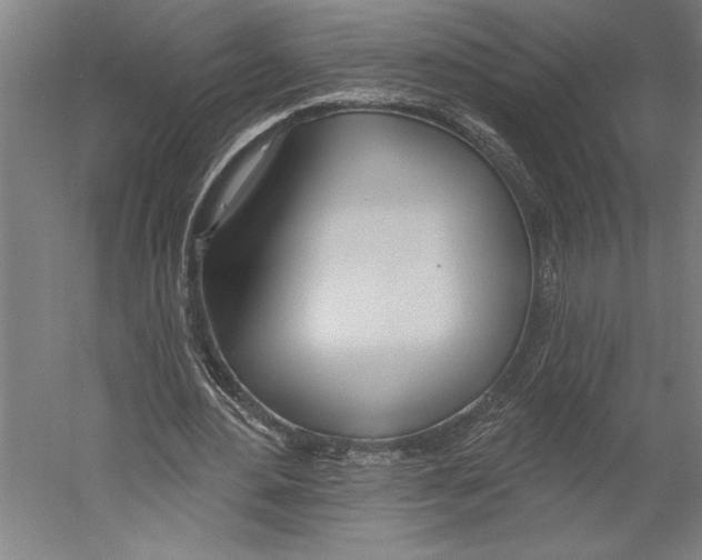X0000055250484200509071619.png