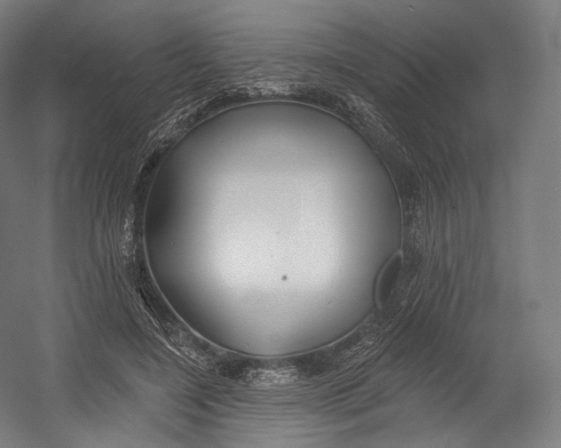 X0000055210548200508301324.png