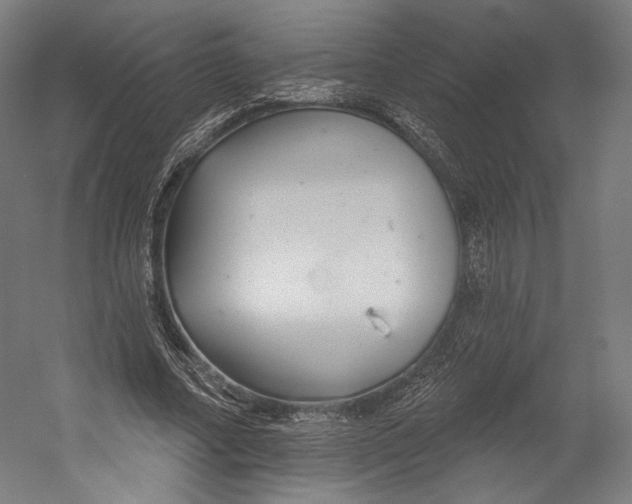 X0000055210682200508301322.png