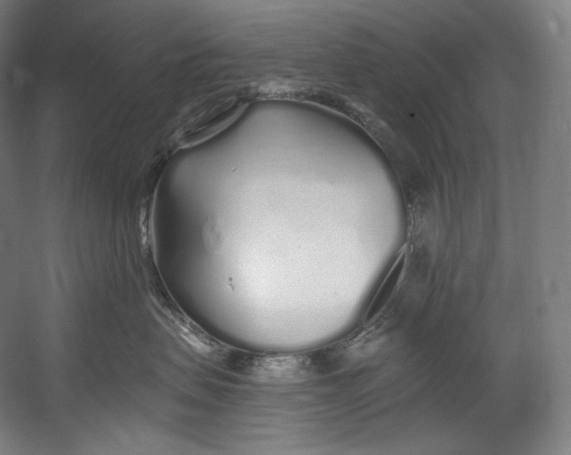 X0000055210479200508301326.png