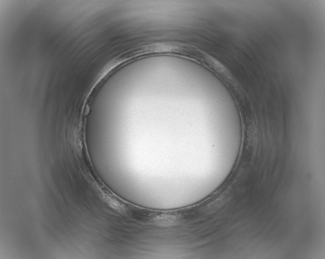 X0000054331178200508111911.png