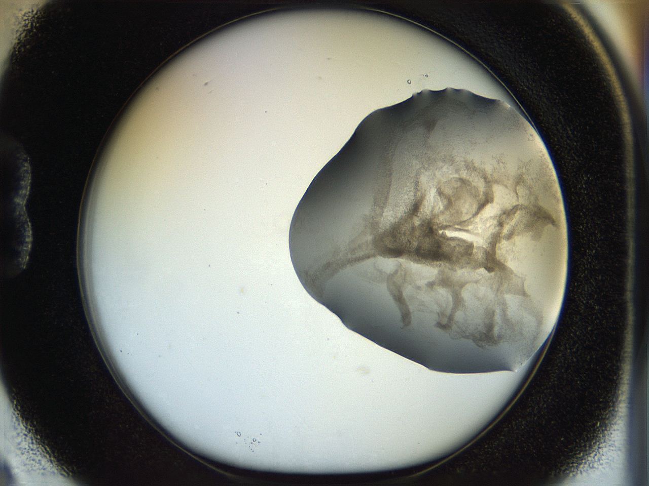 056q_B3_ImagerDefaults_3.jpg