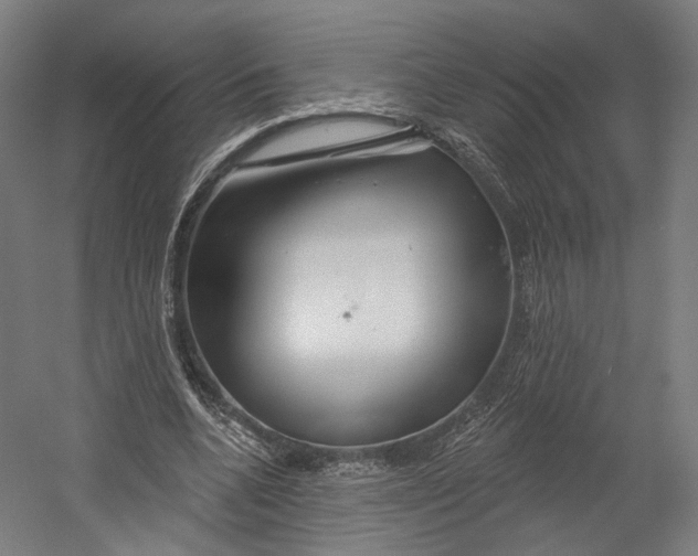 X0000055210536200508301324.png