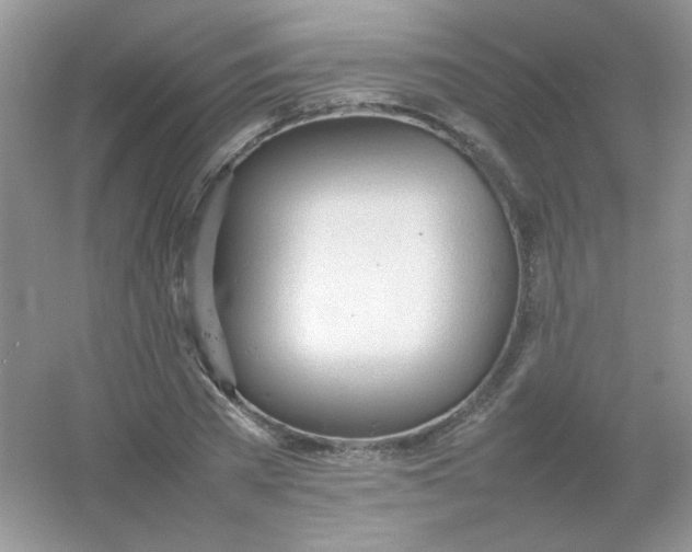 X0000054330785200508111918.png