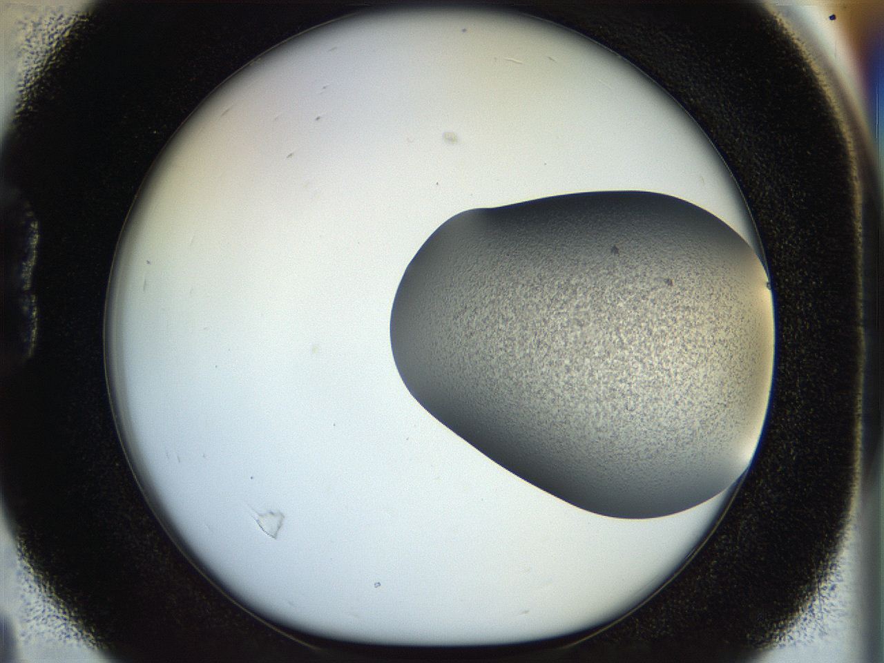 056q_B4_ImagerDefaults_3.jpg