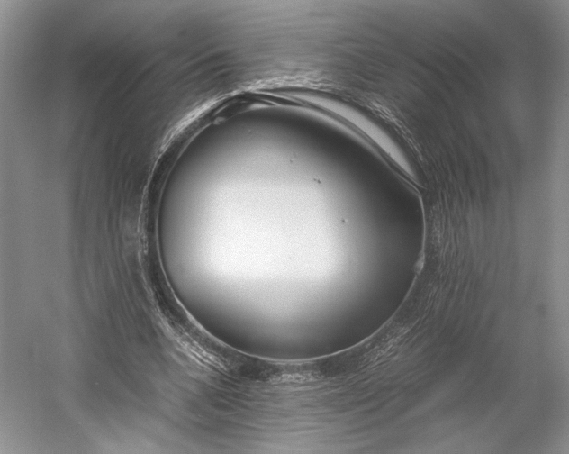 X0000055060536200508161648.png