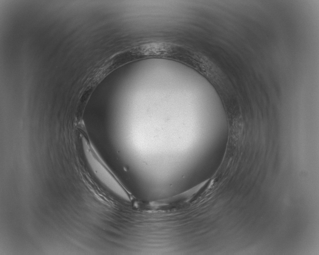 X0000055210413200508301327.png