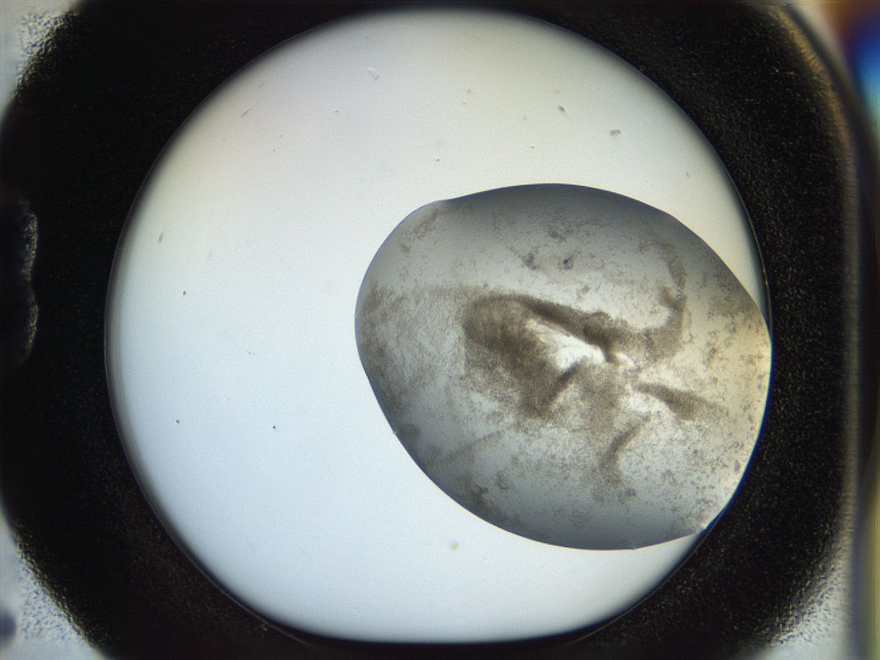 056q_B5_ImagerDefaults_3.jpg
