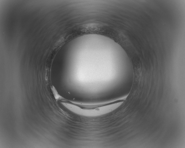 X0000055210232200508301330.png