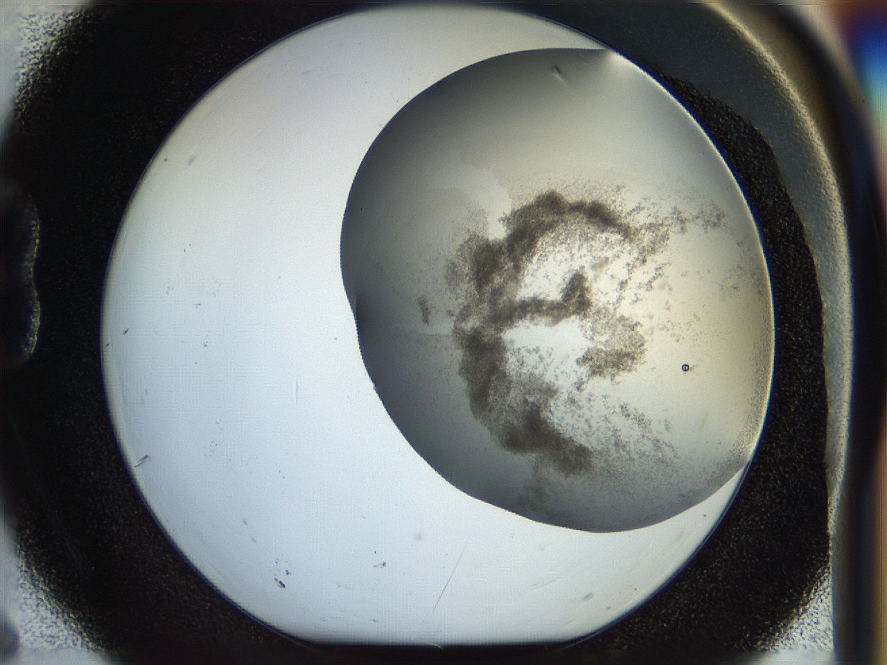 056q_B6_ImagerDefaults_3.jpg