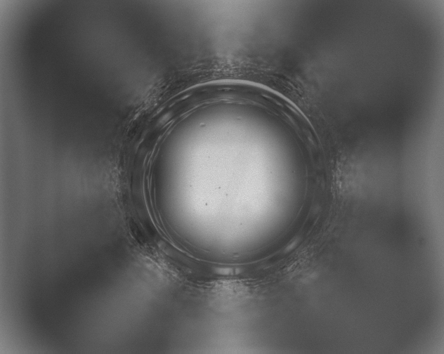 X0000051110520200507141800.png