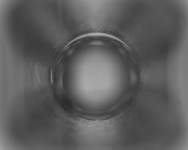 X0000052150027200507052003.png