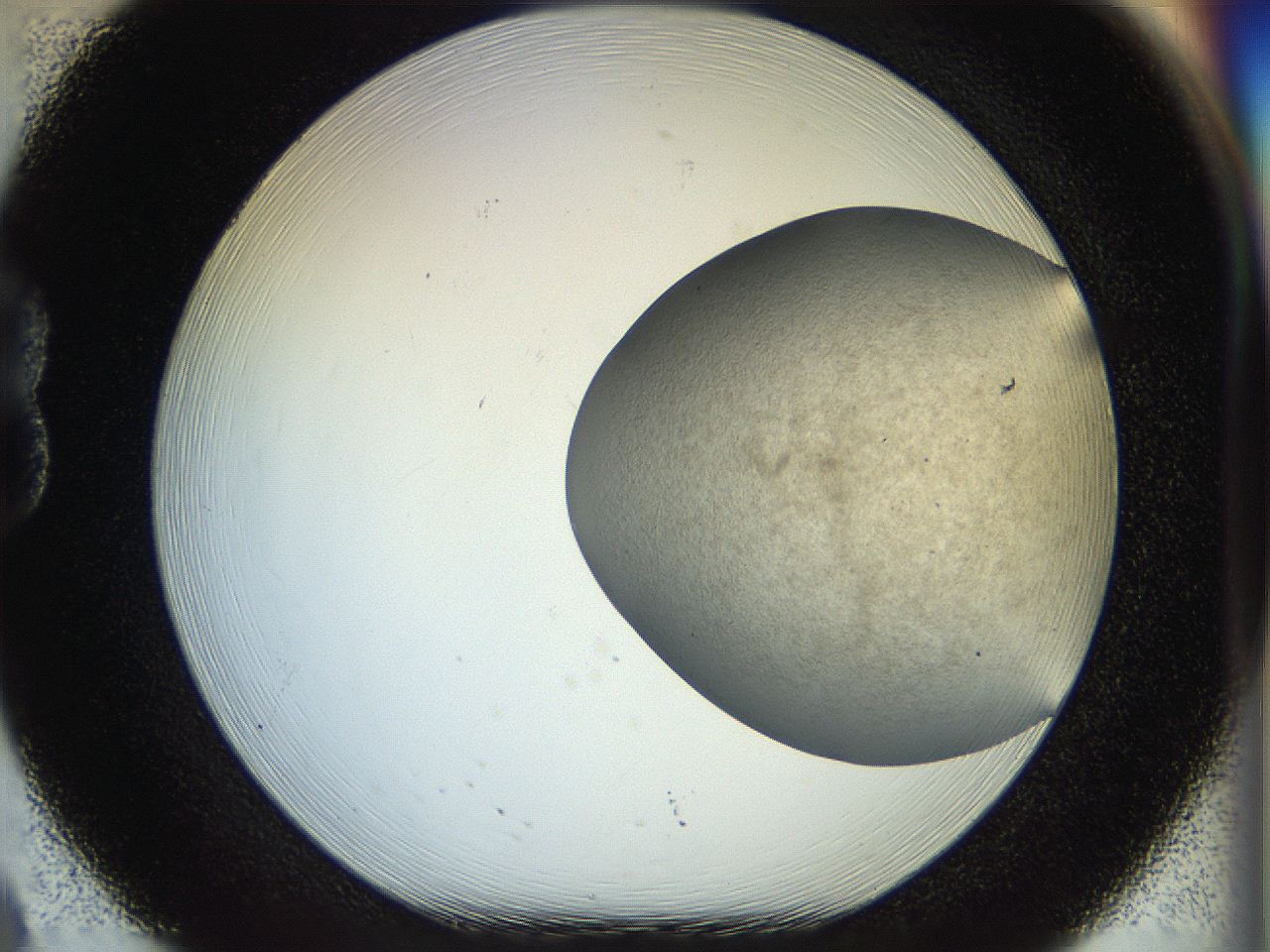 056q_B8_ImagerDefaults_2.jpg