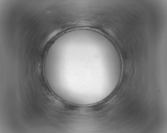 X0000054331163200508111911.png