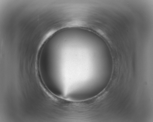 X0000054331469200508111906.png