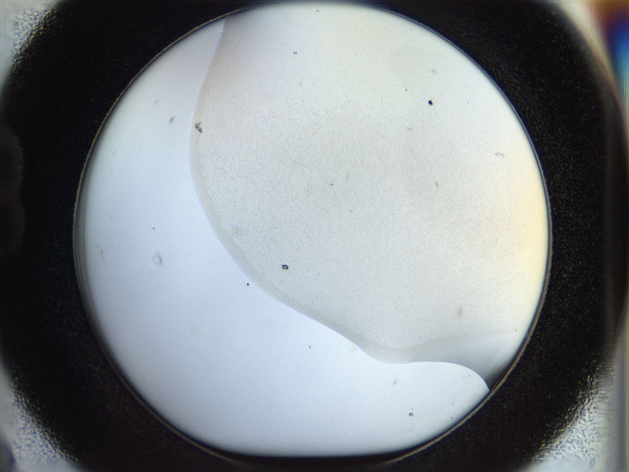 056q_B9_ImagerDefaults_0.jpg