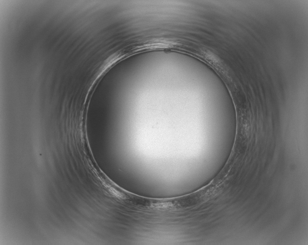 X0000055061186200508161637.png