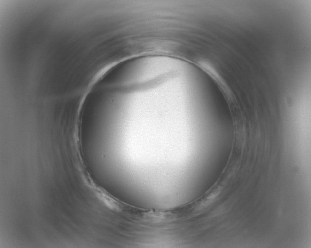 X0000054330956200508111915.png