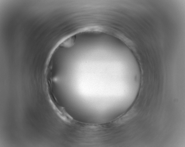 X0000054330816200508111917.png