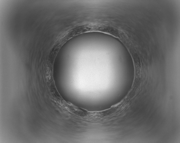 X0000055061253200508161636.png