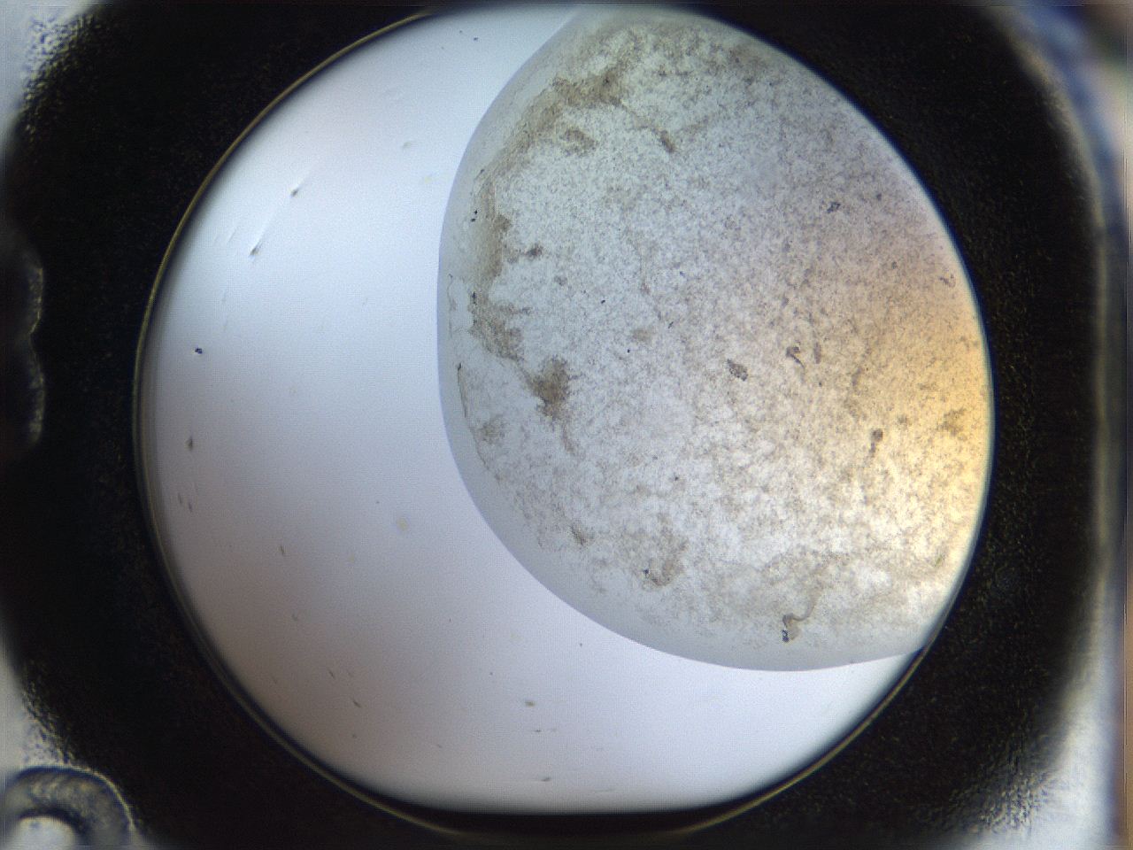 056q_B12_ImagerDefaults_3.jpg