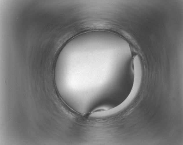 X0000054270481200508261920.png