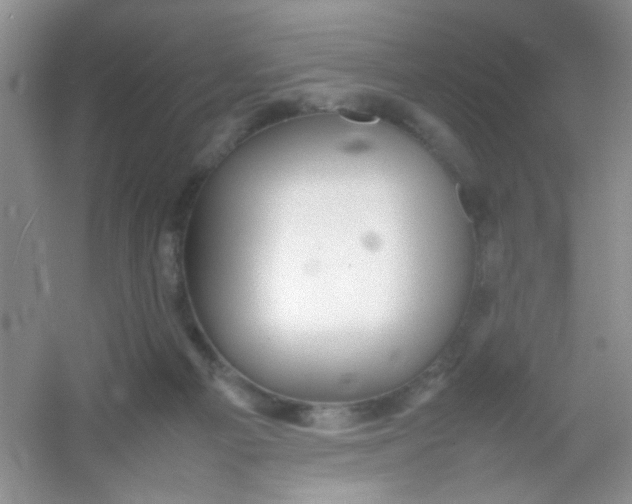 X0000054330121200508111929.png