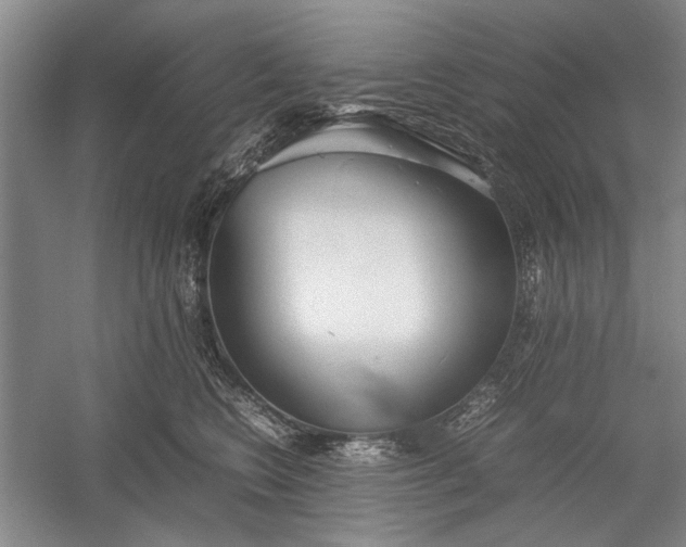 X0000055060566200508161649.png