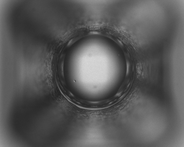 X0000044151252200412271245.png