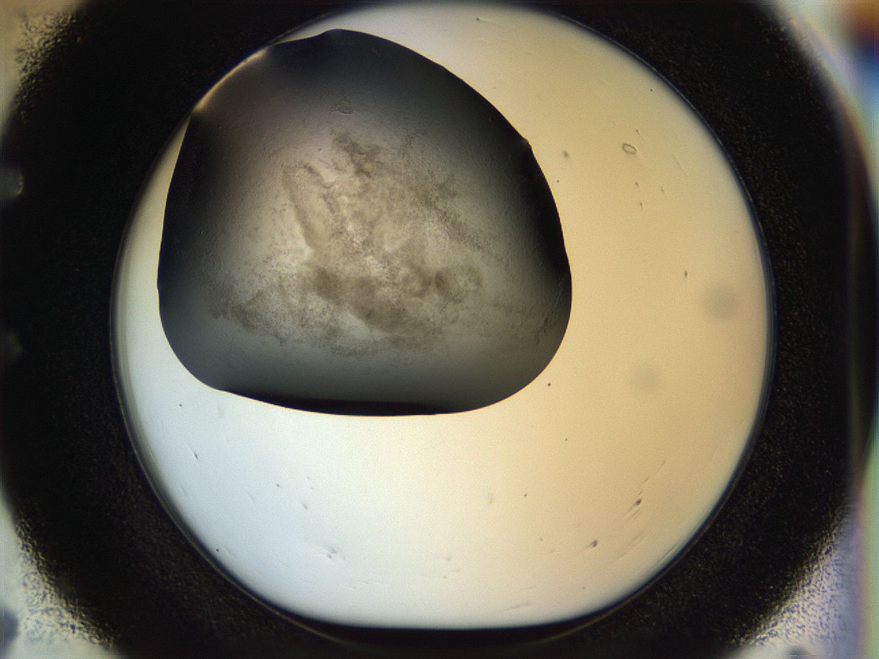056q_E7_ImagerDefaults_3.jpg
