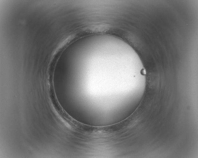 X0000054330634200508111920.png