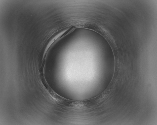 X0000055210113200508301332.png