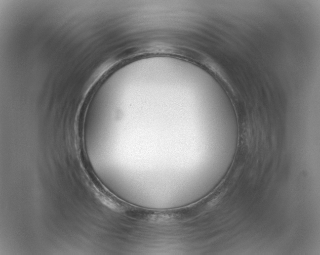 X0000054331082200508111913.png