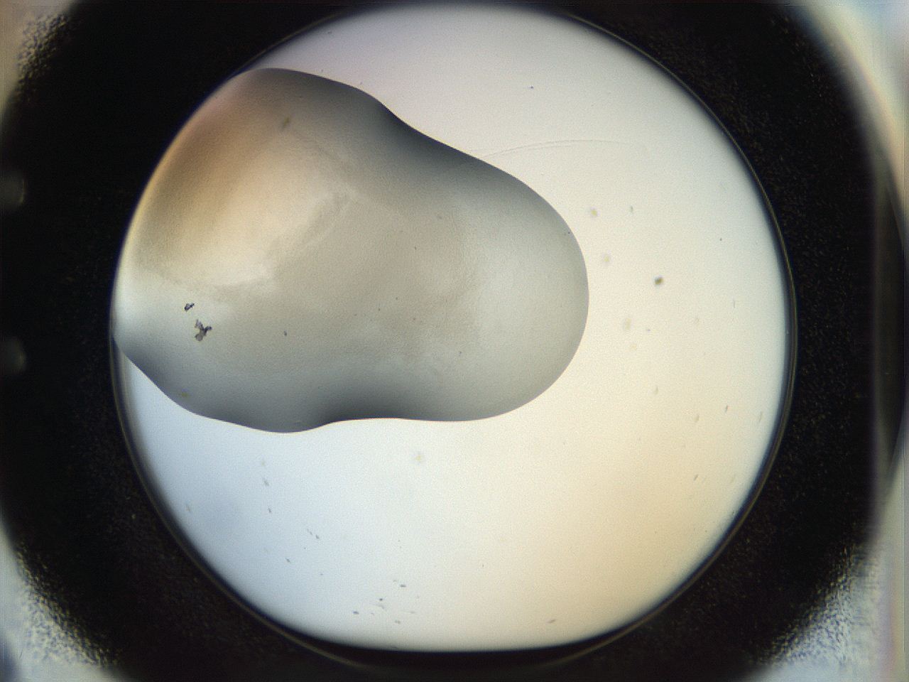 056q_E9_ImagerDefaults_2.jpg