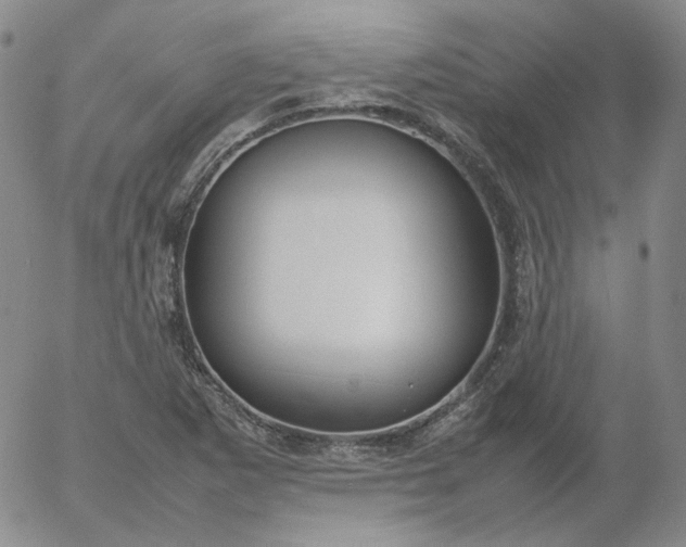 X0000054651265200508091632.png
