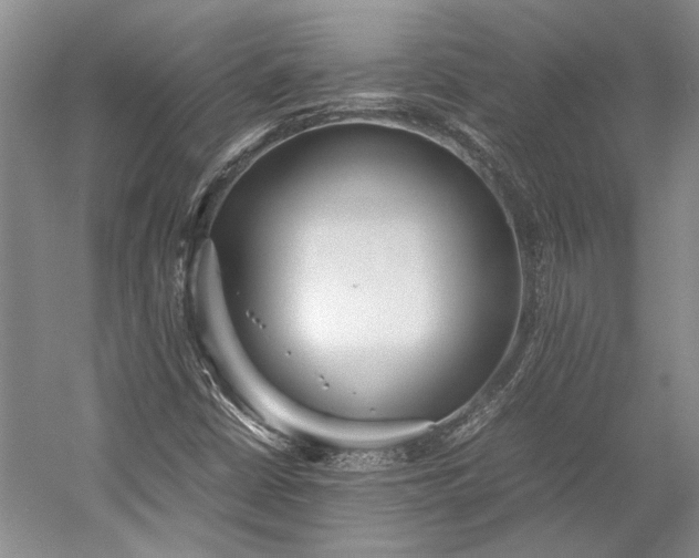 X0000055061402200508161633.png