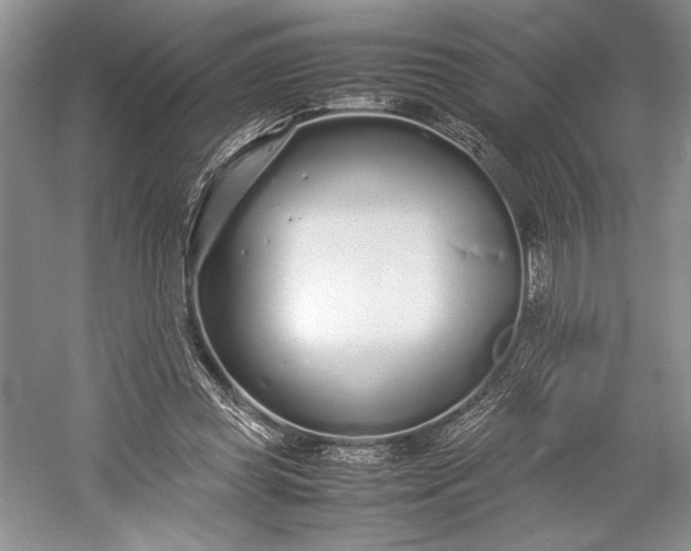 X0000055060349200508161651.png