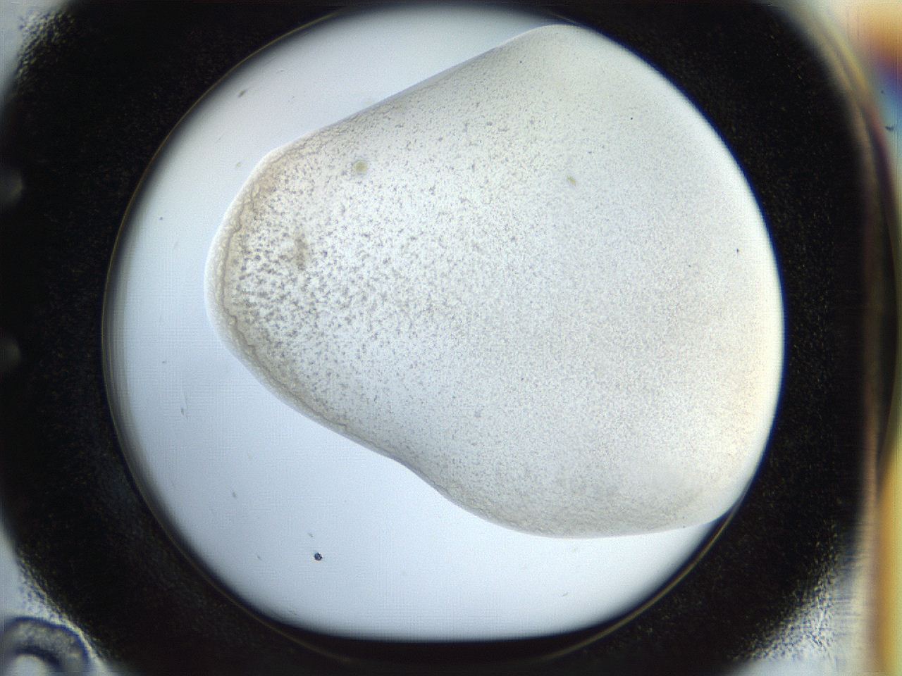 056q_E10_ImagerDefaults_2.jpg
