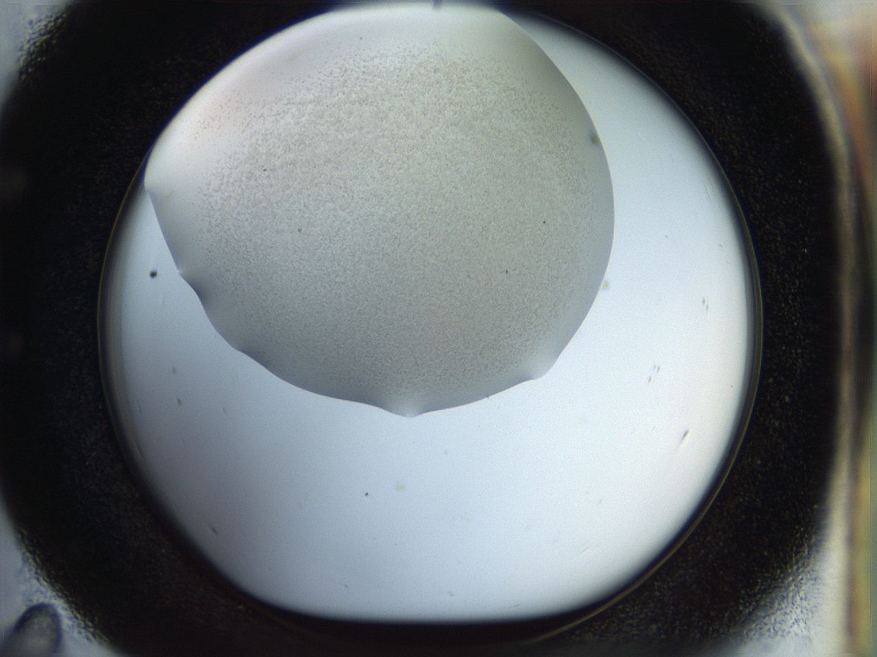 056q_E11_ImagerDefaults_2.jpg