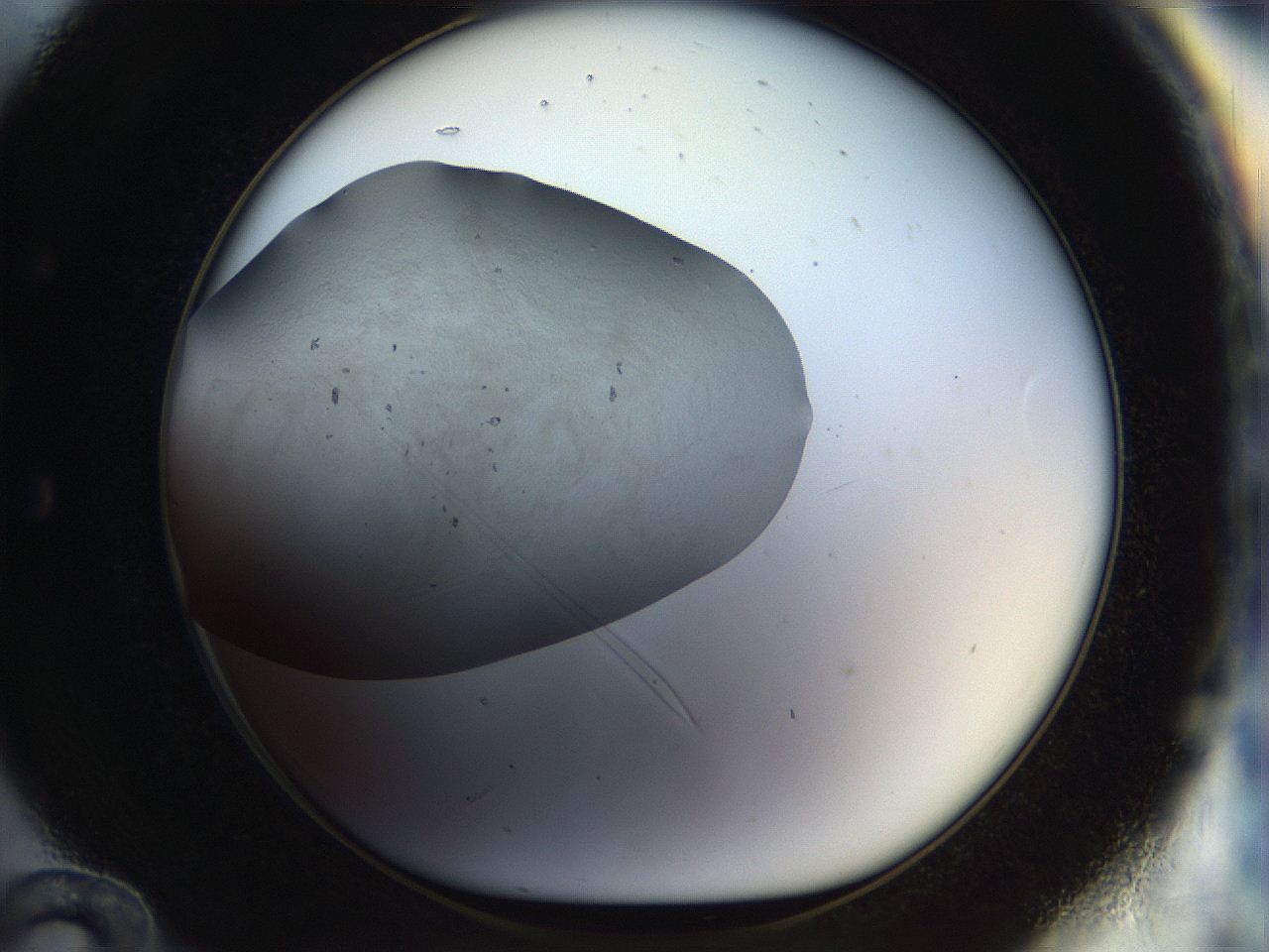 056q_E12_ImagerDefaults_2.jpg