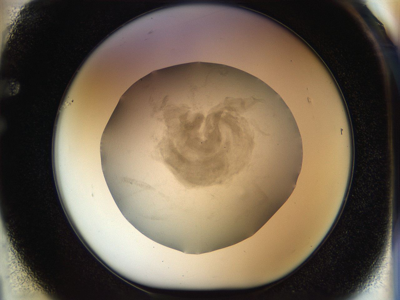 056q_F1_ImagerDefaults_2.jpg