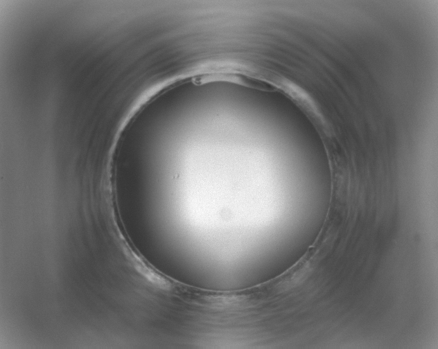 X0000054331192200508111911.png